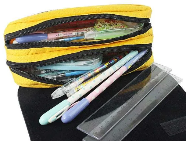 Pikachu, Pokeball, Evoli, Schiggy U. A. Federmappen