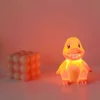 Pokemon 3D Lampe Leuchtfigur