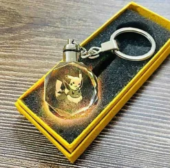 Pokemon Go Leuchtende Anhanger In Vielen Motiven - Keychain