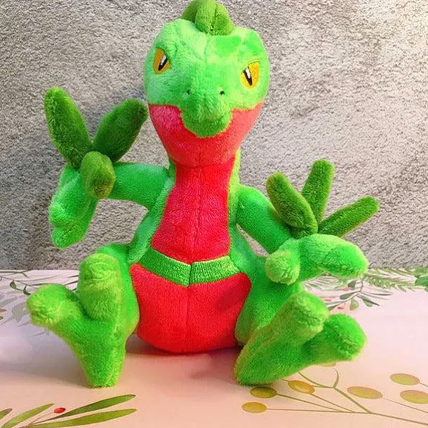 Pokemon Pluschfiguren Aus Der Hoenn Region