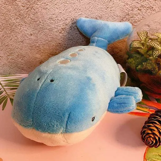 Pokemon Pluschfiguren Aus Der Hoenn Region