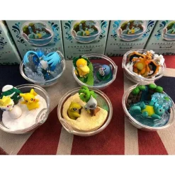 Pokemon Terrarium Collection Mit Schiggy, Enton, Glurak, Articuno, Cubone, Togepi, Poliwag